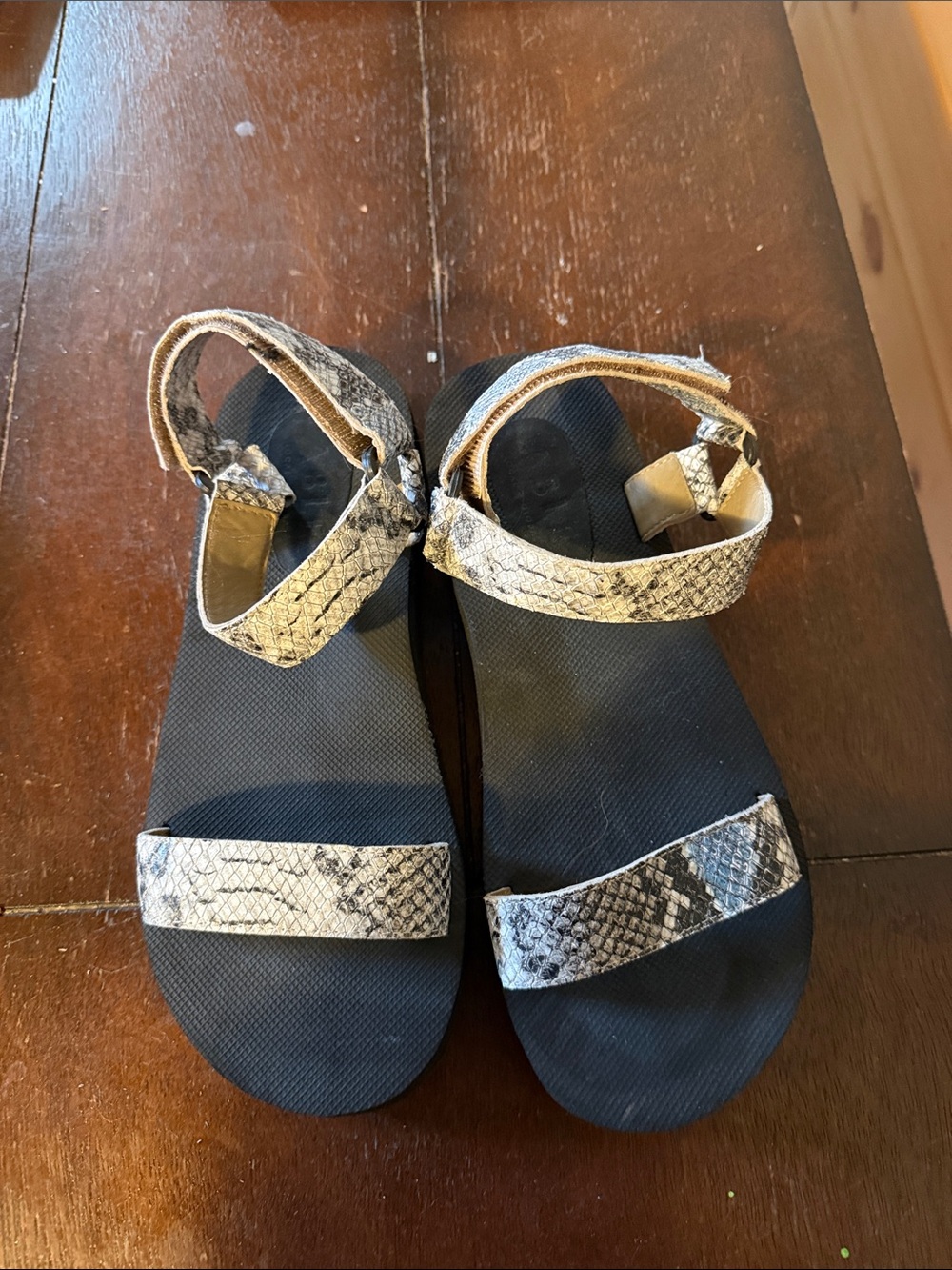 Able Women's Snake-Print Black and Cream Strappy Sandals